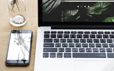 Diseño Web Biomimético para Sitios Dominicanos