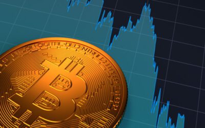 El Rol de Bitcoin como Reserva de Valor en el Mundo Financiero