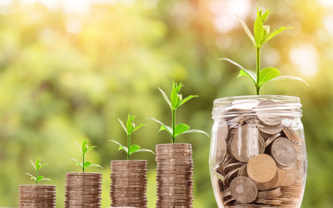 Cómo Evaluar la Salud Financiera de una Empresa antes de Invertir