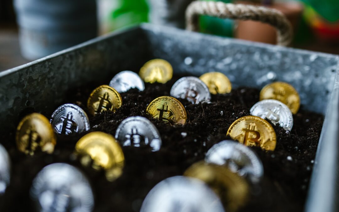 Descifrando el Impacto de la Blockchain en la Economía y la Sociedad